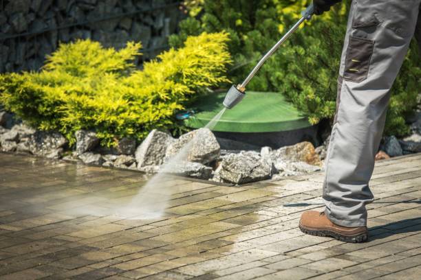 Best Spring Cleaning  in Brownsville, TN